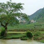 Landschaft in Vietnam